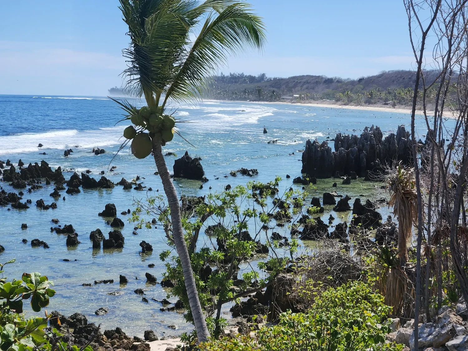Tropical beach with a leaning palm tree, rocky shoreline and distant hills